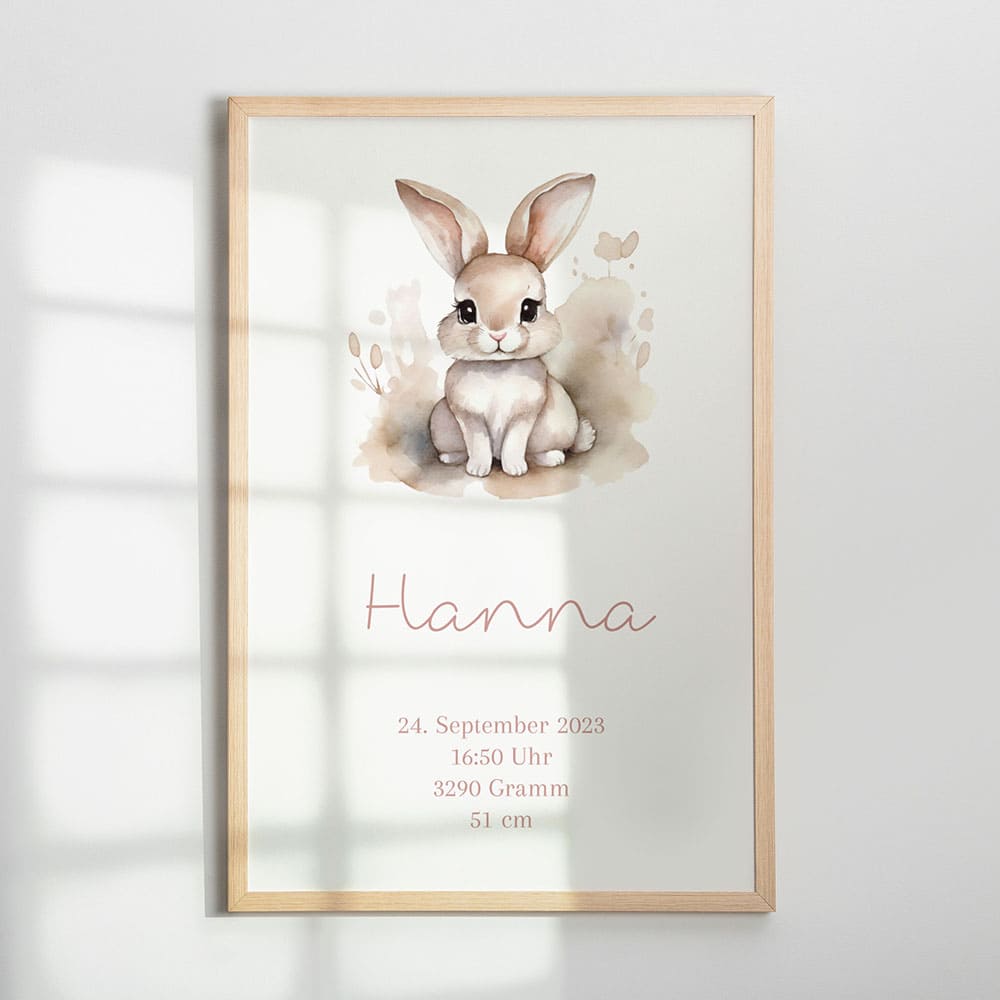 Poster Hase 11P2