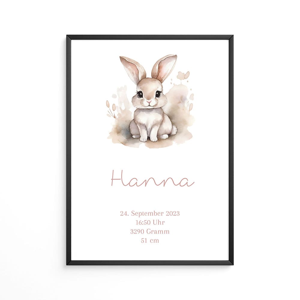 Poster Hase 11P3