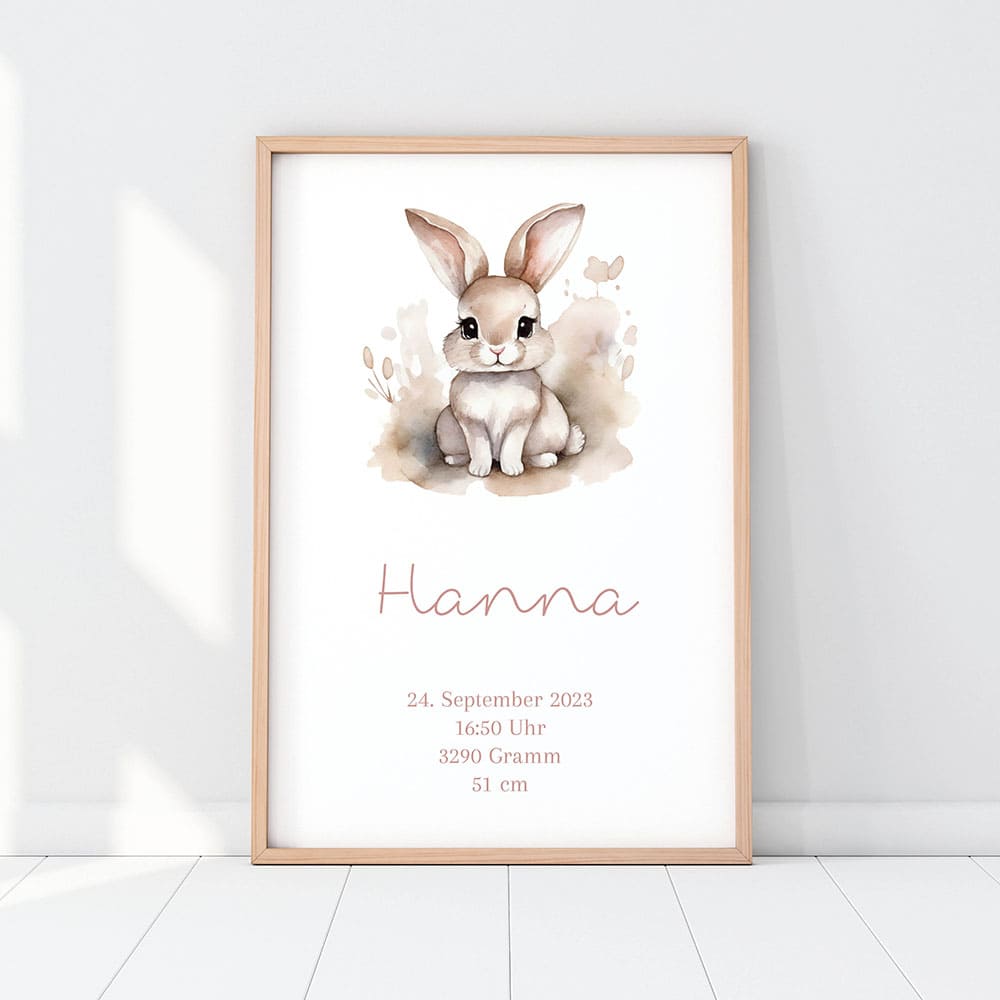 Poster Hase 11P